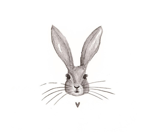papierové obrúsky  RABBIT 20ks balenie 