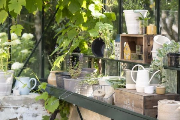 dr&ocirc;ten&yacute; ko&scaron;&iacute;k s u&scaron;kami / set  2ks 