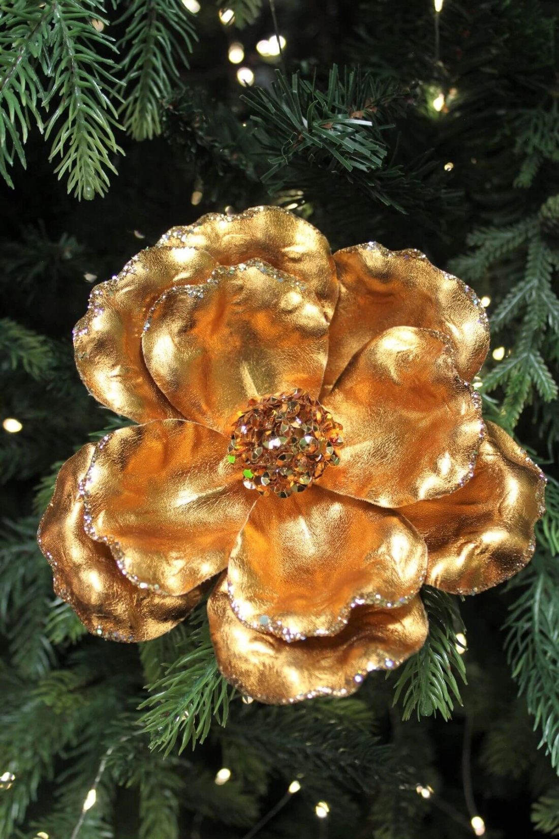 Meden&aacute; leskl&aacute; magn&oacute;lia na &scaron;tipci 14cm