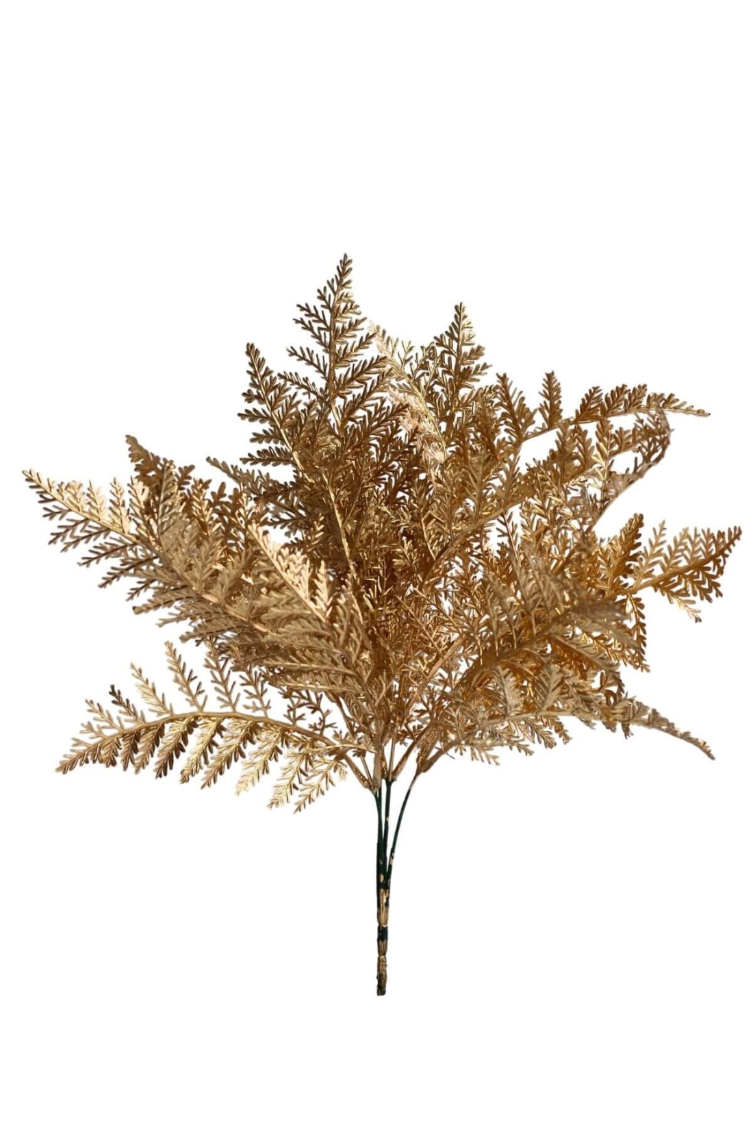 Zlat&eacute; umel&eacute;  papradie 