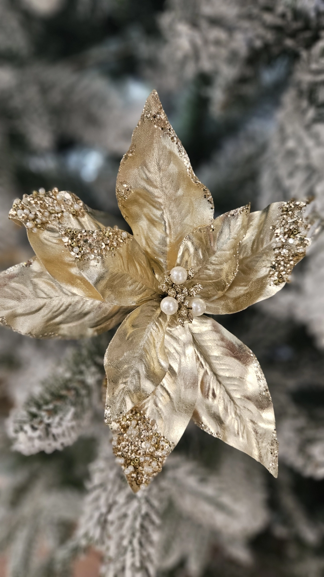 Vianočn&aacute; ruža zlat&aacute; na &scaron;tipci 22 cm 