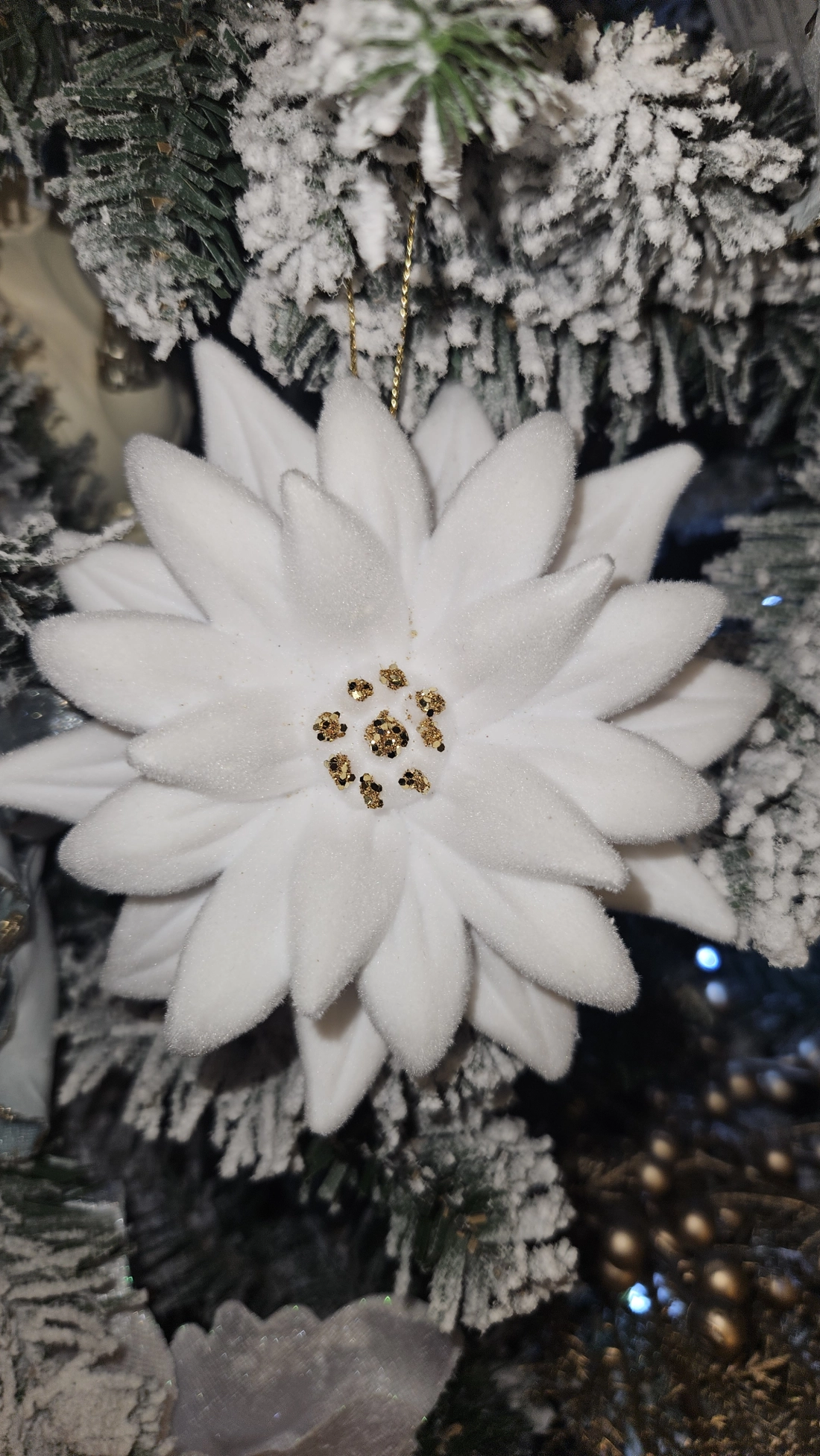 Biely zamatov&yacute; vianočn&yacute; kvet 