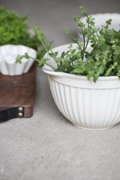 miska na cesto Mynte butter cream 