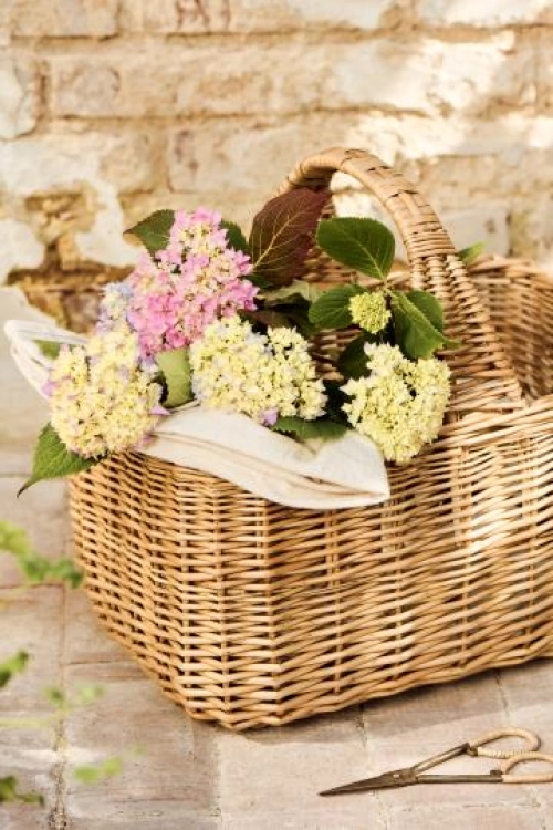 Pr&uacute;ten&yacute; k&ocirc;&scaron;